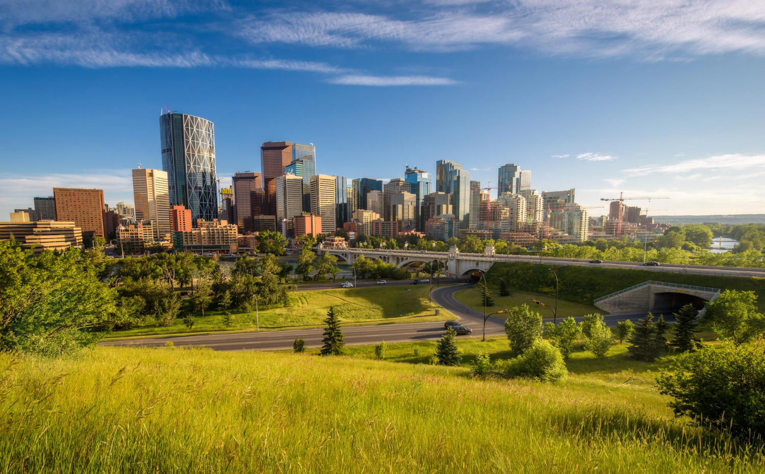 city of calgary, image from freepik